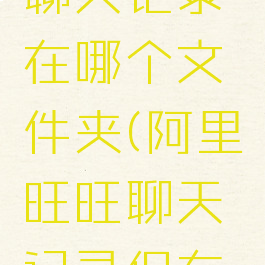 阿里旺旺聊天记录在哪个文件夹(阿里旺旺聊天记录保存在哪里)