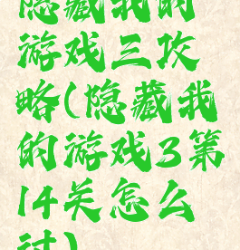 隐藏我的游戏三攻略(隐藏我的游戏3第14关怎么过)