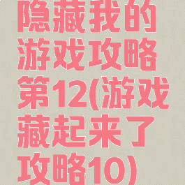 隐藏我的游戏攻略第12(游戏藏起来了攻略10)