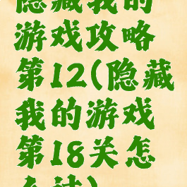 隐藏我的游戏攻略第12(隐藏我的游戏第18关怎么过)