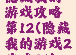隐藏我的游戏攻略第12(隐藏我的游戏2攻略21)