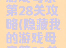 隐藏我的游戏母亲第28关攻略(隐藏我的游戏母亲第28关攻略)