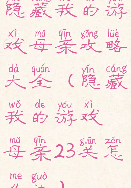 隐藏我的游戏母亲攻略大全(隐藏我的游戏母亲23关怎么过)