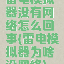 雷电模拟器没有网络怎么回事(雷电模拟器为啥没网络)