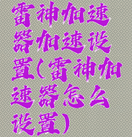 雷神加速器加速设置(雷神加速器怎么设置)