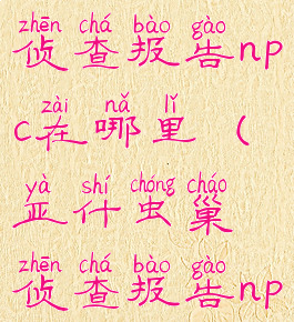 雷戈虫巢侦查报告npc在哪里(亚什虫巢侦查报告npc在哪)