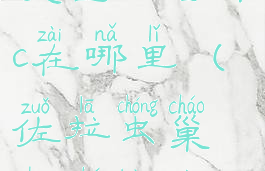 雷戈虫巢侦查报告npc在哪里(佐拉虫巢侦查报告npc在哪里)