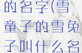 雪童子的刀的名字(雪童子的雪兔子叫什么名字)