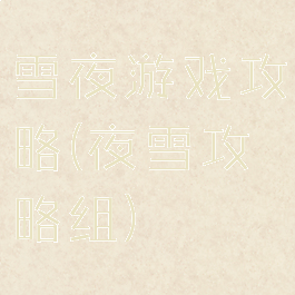 雪夜游戏攻略(夜雪攻略组)