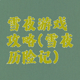 雪夜游戏攻略(雪夜历险记)