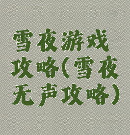 雪夜游戏攻略(雪夜无声攻略)
