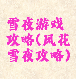 雪夜游戏攻略(风花雪夜攻略)