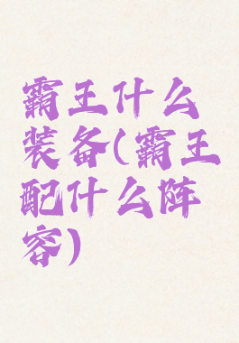 霸王什么装备(霸王配什么阵容)