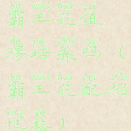 霸王花值得培养吗(霸王花配招性格)