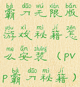 霸刀无限版游戏秘籍怎么安装(pvp霸刀秘籍)