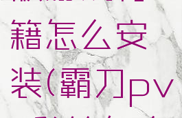 霸刀无限版游戏秘籍怎么安装(霸刀pvp秘籍怎么点)