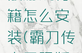 霸刀无限版游戏秘籍怎么安装(霸刀传奇无限版修改器)