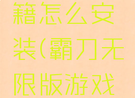 霸刀无限版游戏秘籍怎么安装(霸刀无限版游戏秘籍怎么安装不了)