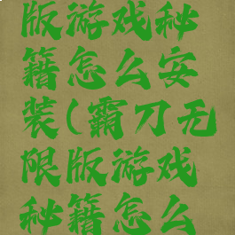 霸刀无限版游戏秘籍怎么安装(霸刀无限版游戏秘籍怎么安装视频)