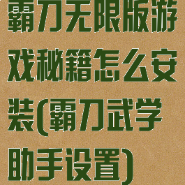 霸刀无限版游戏秘籍怎么安装(霸刀武学助手设置)