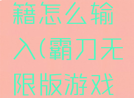 霸刀无限版游戏秘籍怎么输入(霸刀无限版游戏秘籍怎么输入不了)