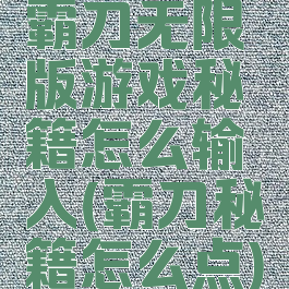 霸刀无限版游戏秘籍怎么输入(霸刀秘籍怎么点)