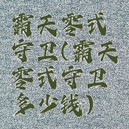 霸天零式守卫(霸天零式守卫多少钱)