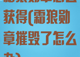 霜狼勋章怎么获得(霜狼勋章摧毁了怎么办)