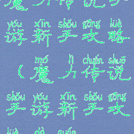 魔力传说手游新手攻略(魔力传说手游新手攻略大全)