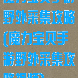 魔力宝贝手游野外采集攻略(魔力宝贝手游野外采集攻略视频)