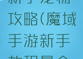 魔域手游新手宠物攻略(魔域手游新手教程最全攻略礼包)
