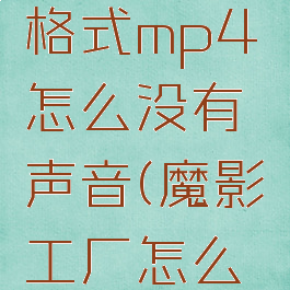 魔影工厂怎么转换格式mp4怎么没有声音(魔影工厂怎么转换成mp3格式)