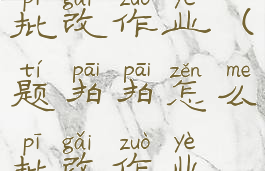 题拍拍怎么批改作业(题拍拍怎么批改作业赚钱)