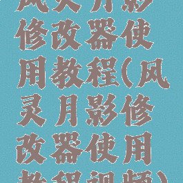 风灵月影修改器使用教程(风灵月影修改器使用教程视频)