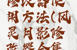 风灵月影修改器使用方法(风灵月影修改器合集打不开)