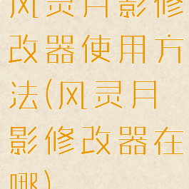 风灵月影修改器使用方法(风灵月影修改器在哪)