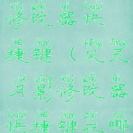 风灵月影修改器快捷键(风灵月影修改器快捷键在哪)