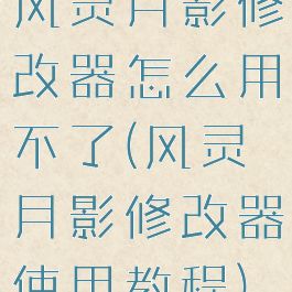 风灵月影修改器怎么用不了(风灵月影修改器使用教程)
