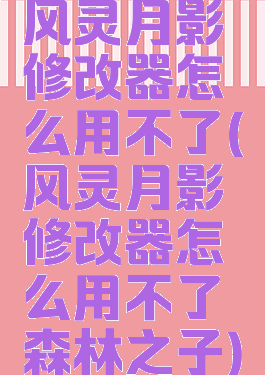 风灵月影修改器怎么用不了(风灵月影修改器怎么用不了森林之子)
