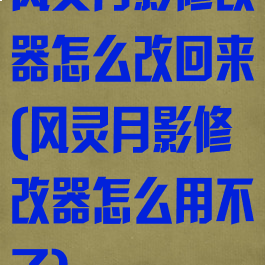 风灵月影修改器怎么改回来(风灵月影修改器怎么用不了)
