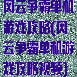 风云争霸单机游戏攻略(风云争霸单机游戏攻略视频)
