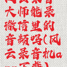 风云录音大师能录微信里的音频吗(风云录音机app下载)
