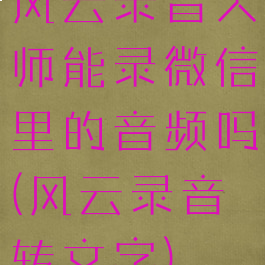 风云录音大师能录微信里的音频吗(风云录音转文字)