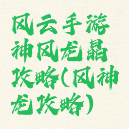 风云手游神风龙晶攻略(风神龙攻略)