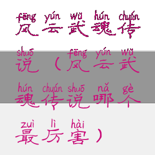 风云武魂传说(风云武魂传说哪个最厉害)