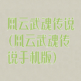 风云武魂传说(风云武魂传说手机版)