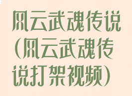 风云武魂传说(风云武魂传说打架视频)