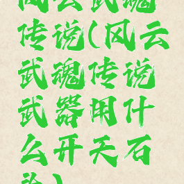 风云武魂传说(风云武魂传说武器用什么开天石头)