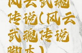 风云武魂传说(风云武魂传说脚本)