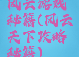 风云游戏秘籍(风云天下攻略秘籍)